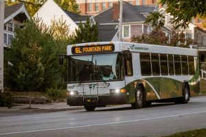 white and green bus on road during daytime