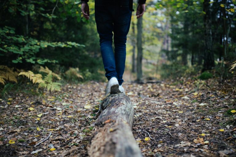 Equilibrium, a man walking in the forest