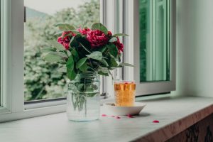 Pink flowers and drink on a windowsill. Home and Nature retreat.